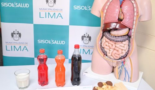 Otoño en Lima: conoce los alimentos que agravan los síntomas de las enfermedades respiratorias